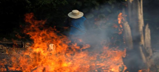 Alarming surge in Amazon fires prompts global outcry