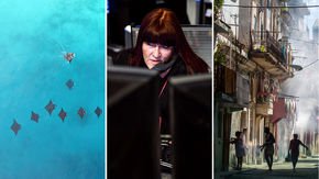 Top stories: manta ray ‘friendships,’ preventing suicide, and a hidden hotbed of Zika