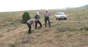 بازدید مجری ملی طرح ارزیابی اقتصادی و اکولوژیکی بهره ­برداری از گیاهان دارویی از مراتع سرعلی آباد گرگان
