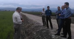 برگزاری سومین جلسه سالجاری کمیته فنی بخش تحقیقات زراعی و باغی مرکز تحقیقات و آموزش گلستان