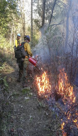 Traditional fire management could help revitalize American Indian cultures