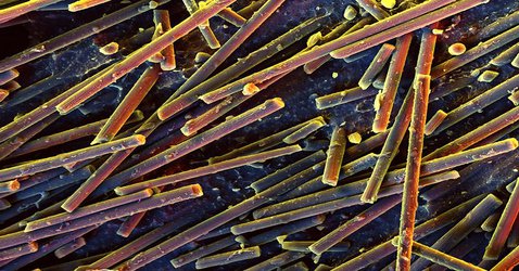 Biggest carbon-nanotube chip yet says ‘Hello, World!’