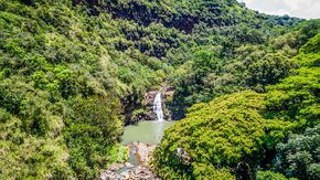 No microbiome is an island, unprecedented survey of Hawaiian valley reveals