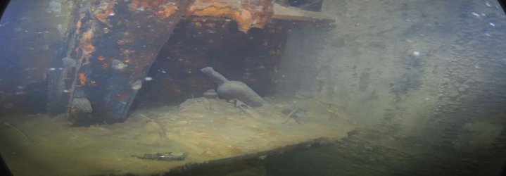 Divers Get an Eerie First Look Inside the Arctic Shipwreck of the HMS Terror