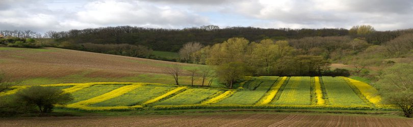 Podcast: Where our microbiome came from, and how our farming and hunting ancestors transformed the world
