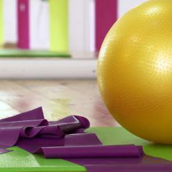 Exercise in pregnancy improves health of obese mothers by restoring their tissues, mouse study finds