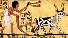 Ancient farmers irreversibly altered Earth’s face by 3000 years ago