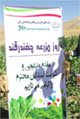 روز مزرعه چغندرقند در استان کرمانشاه برگزار شد