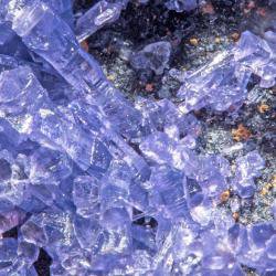 Eight Cambridge researchers awarded major European starter grants