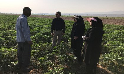 بازدید محققین معین مرکز از باغات خرما و مزارع کشاورزی در منطقه شمیل هرمزگان