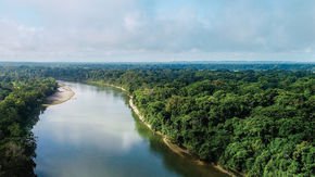 In search of the ‘white jaguar’: Archaeologists travel deep into the jungle to find a lost Maya city