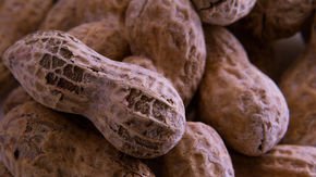 First peanut allergy treatment gains backing from FDA advisory panel