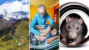 Top stories: Mountain-moving climate change, an oxygen-starved city, and rats playing hide-and-seek