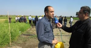 مصاحبه تلویزیونی رییس مرکز تحقیقات و آموزش گلستان در حاشیه روز ملی مزرعه خشکه کاری برنج