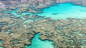 Is ‘The Blob’ back? New marine heat wave threatens Pacific