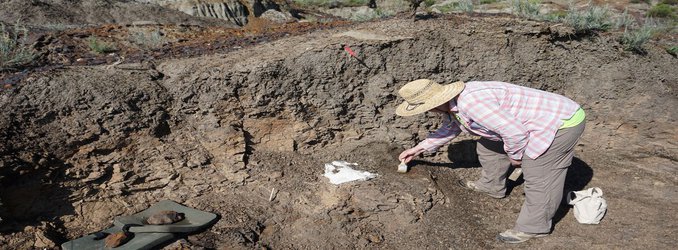 Want to Dig For Dinosaur Bones? Join the Pros at These Spots