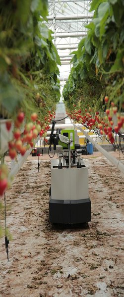 Five Roles Robots Will Play in the Future of Farming