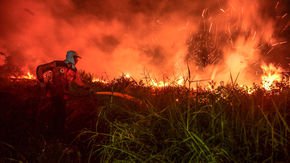 Indonesia's fires are bad, but new measures prevented them from becoming worse