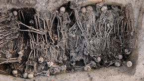 Ancient DNA traces the Black Death to Russia’s Volga region