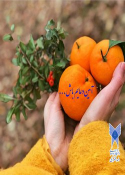 آمین دعایم باش… قسمت هشتاد و پنجم