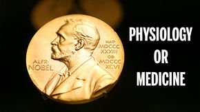 Medicine Nobel honors work on cellular system to sense oxygen levels