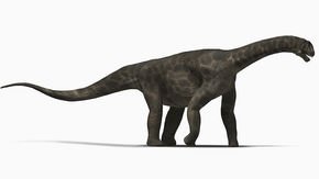 Giant sauropod dinosaurs may have sported turtlelike beaks