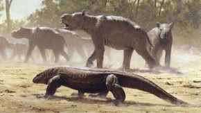 Giant reptiles once ruled Australia. Their loss sparked an ecological disaster