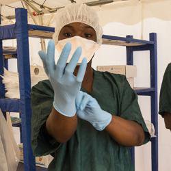 Risk of Ebola outbreaks could be reduced by understanding how ecosystems influence human health