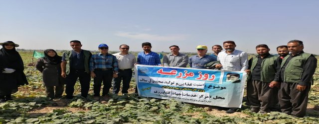برگزاری روز مزرعه سبزی کاری و محصولات سالم در شهرستان شوش