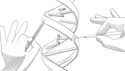 A New Gene Editing Tool Could Make CRISPR More Precise