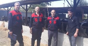 پایش دقیق خوراک دام تولیدی مرکز به همت پژوهشگران بخش تحقیقات علوم دامی مرکز تحقیقات و آموزش گلستان