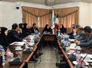 جلسه ارزیابی طرح‌های تحقیقی-ترویجی لاین‌های امیدبخش جدید در شالیزارهای استان گیلان