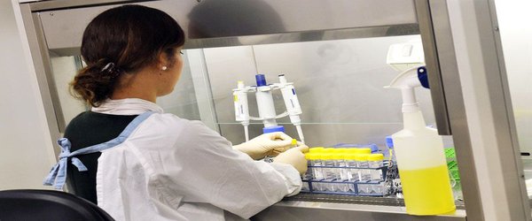 Female researchers in Australia less likely to win major medical grants than males