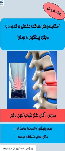 مکانیسم های حفاظت مفصلی در کمر درد با رویکرد پیشگیری و درمان