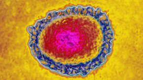 New drug forces flu virus into ‘error catastrophe,’ overwhelming it with mutations
