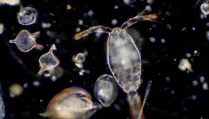 This Device Has Been Measuring the Ocean's Plankton Since the 1930s