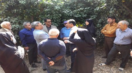 بازدید رئیس پژوهشکده مرکبات و میوه های نیمه گرمسیری از باغ‌ های مرکبات جنوب کرمان