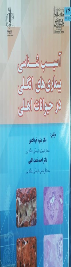 در جایزه «کتاب سال آذربایجان شرقی»؛  کتاب تالیفی اساتید دانشگاه تبریز به عنوان کتاب برگزیده انتخاب شد