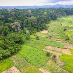 Extent of human encroachment into world’s protected areas revealed