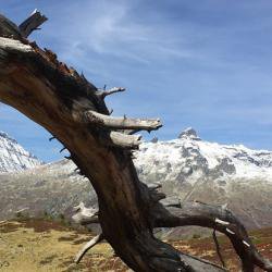 Two new Climate Change Master's programmes launched at Cambridge