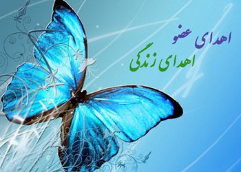 در آستانه سال جدید؛
ایثارگری همچنان جاریست/ هجدهمین اهدای عضو استان بوشهر انجام شد