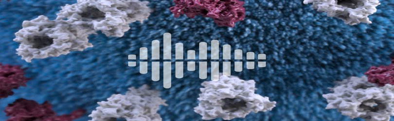Podcast: How measles wipes out immune memory, and detecting small black holes