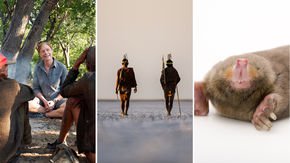 Top stories: Human origins debate, an African DNA scandal, and moles’ weird way of walking