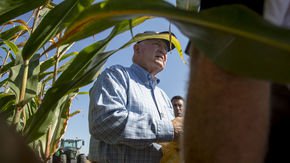 USDA decides to move two research agencies to Missouri, but many employees won’t go