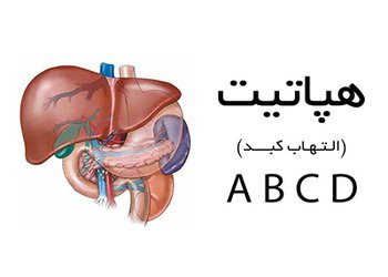 افزایش آگاهی مهم‌ترین عامل پیشگیری‌کننده از بیماری هپاتیت است