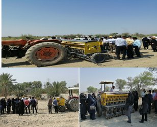 برگزاری مهارت کاشت گندم وکلزا ویژه کارشناسان مسئول پهنه سازمان جهادکشاورزی استان هرمزگان