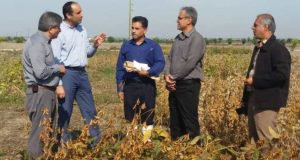 بازدید مشاور وزیر و مجری طرح دانه های روغنی کشور از طرح ها و دستاوردهای پژوهشی ایستگاه تحقیقات عراقی محله گرگان