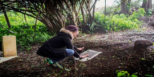 Genomes trace origins of enslaved people who died on remote island