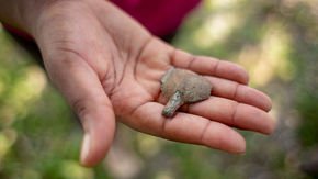 Caribbean excavation offers intimate look at the lives of enslaved Africans