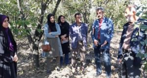 برگزاری برنامه آموزشی و مشاوره محققان معین مرکز تحقیقات و آموزش گلستان با مروجان مسئول پهنه و باغداران شهرستان رامیان